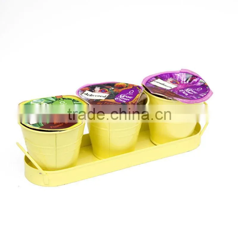 KIDS DIY PLANTING 3 IN 1 BACONY POTS WITH TRAY