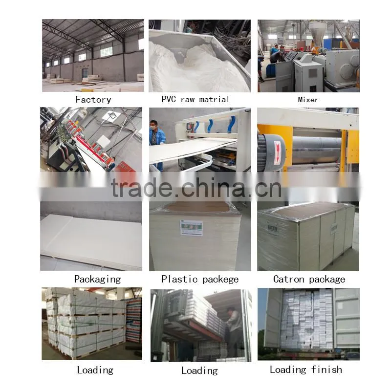 Customized color wpc co-extrusion wall penal interior/exterior /anti UV /painting