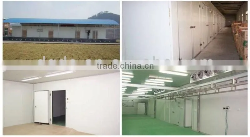 Modular standard cold room model DCWF-20 capacity 20m3