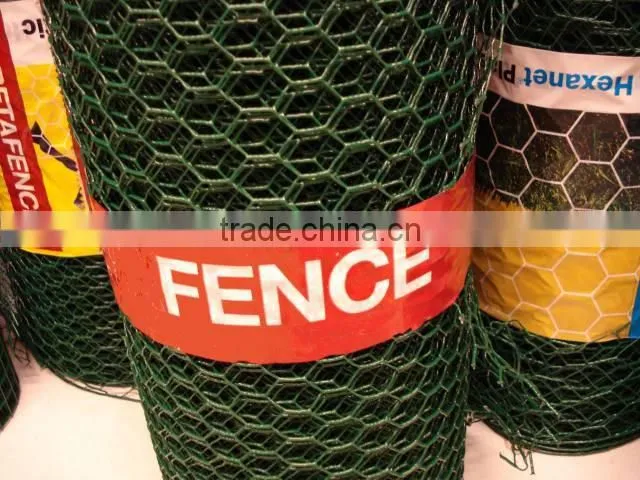 supply chicks netting, hexagonal wire netting (electro galvanized, hot dipped galvanized/ hot-dipped galvanized)