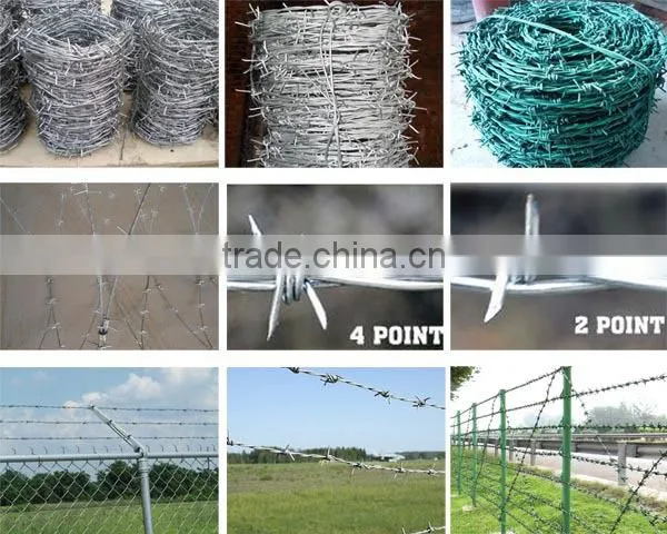Cheap electrical barbed wire for sale
