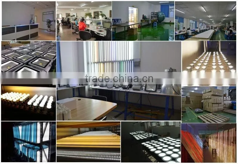 LED Celing down lights 3w 3000K 4000K 6000K AC90-264V