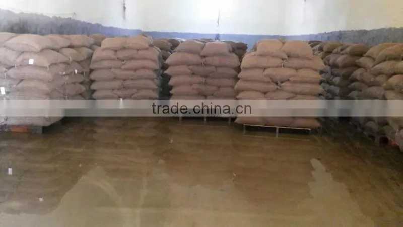 Good reputation of Chinese Fresh Chestnut in shell.