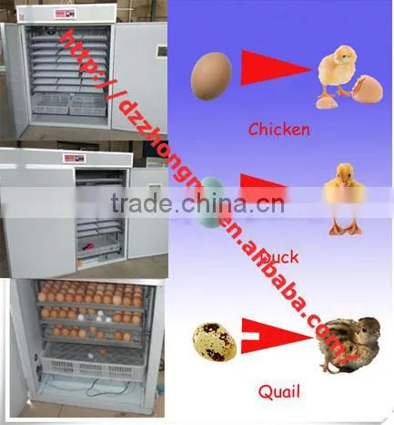 2376 High capacity egg incubator/automatically egg incubators hatcher price