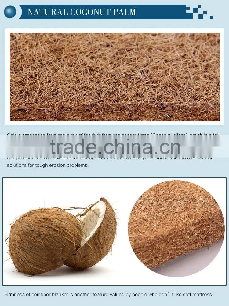 Japan and korea market firm coconut fiber thin mattress