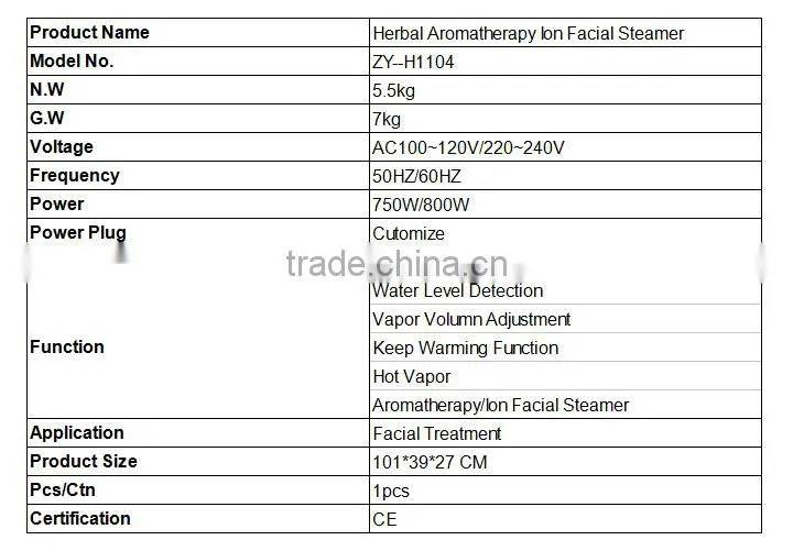 Beauty salon Aromatherapy steamer facial for skin