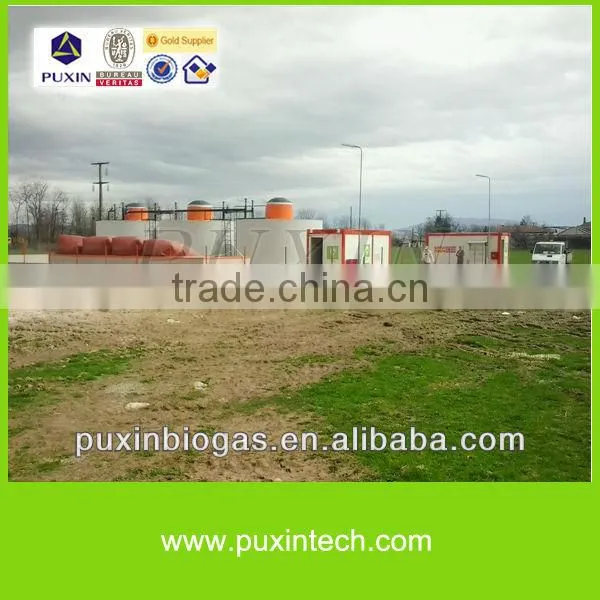Hot sale Chinese PUXIN biogas digester for large farms or pastures