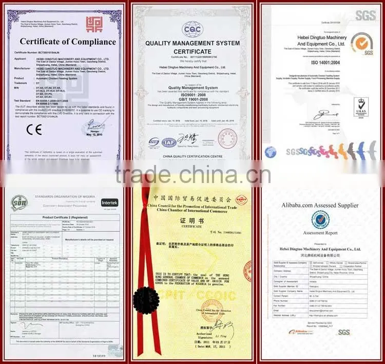 CHINA sales promotion 80 dollars this month chicken coop supplies