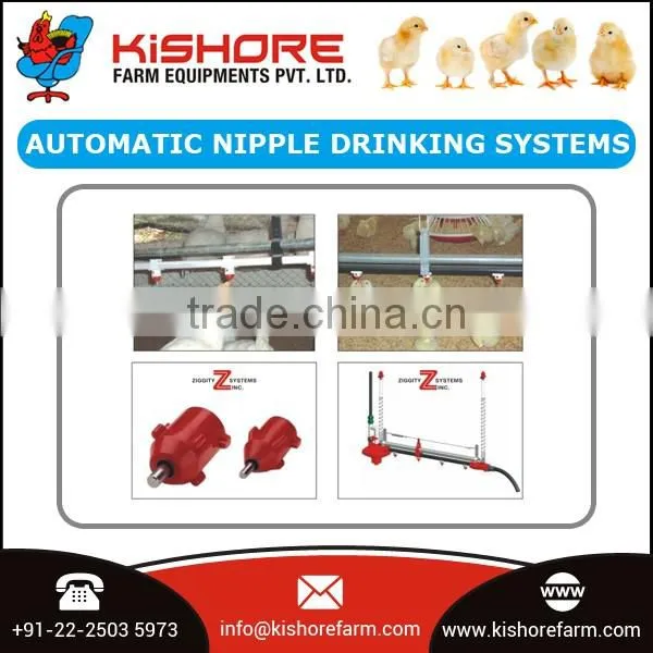 Automatic Poultry Nipple Drinking System