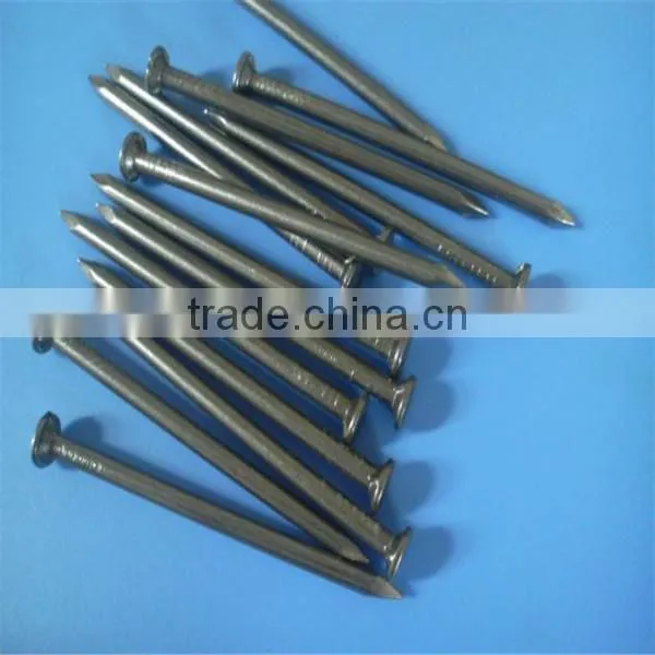 common nail / common wire nail / common iron nail