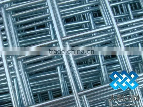 50x50mm opening galvanized Welded Wire Mesh