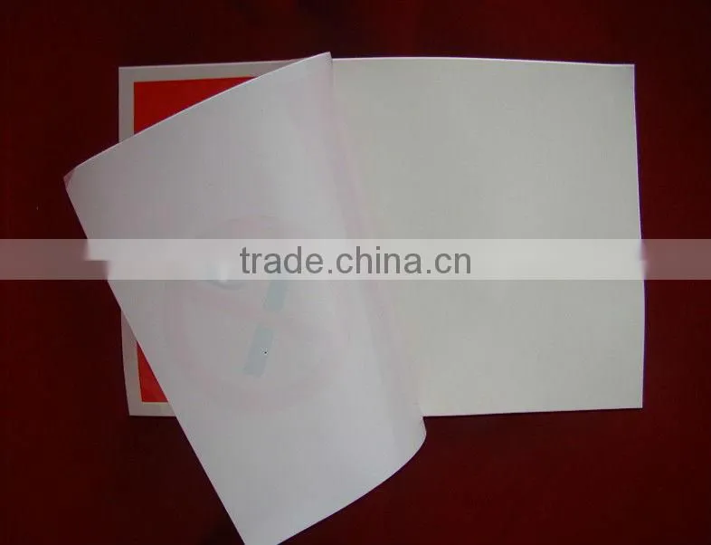 Color Printed adhesive custom printing no smoking pvc transferable logo sticker