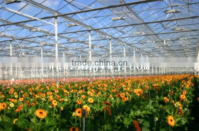 Solar greenhouse