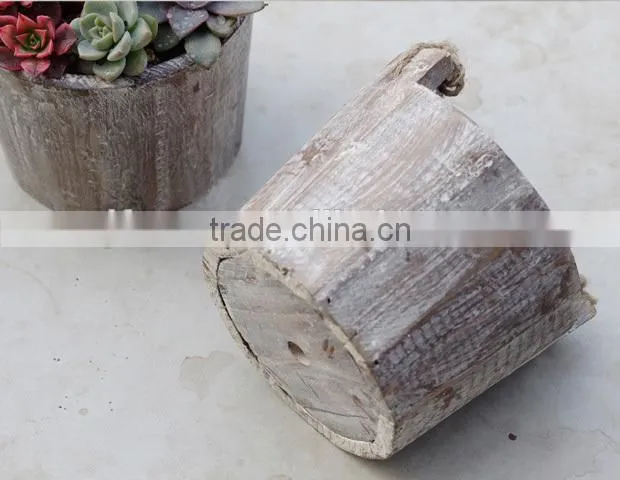 Succulent plant small wood hanging planter