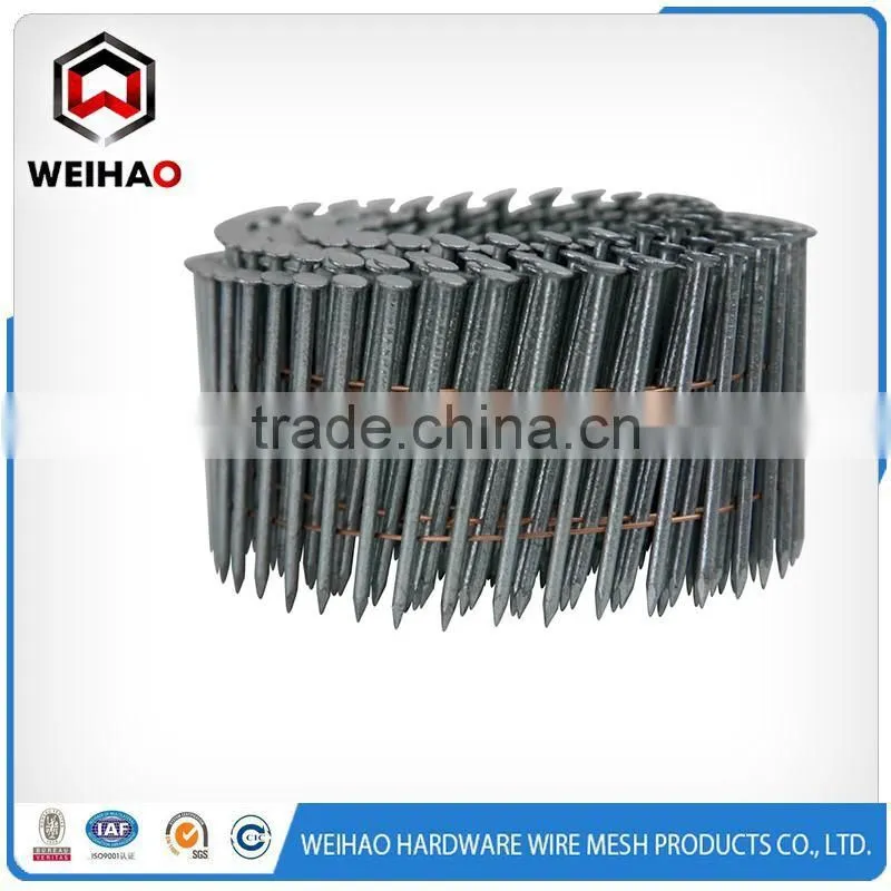 galvanized twisted nails coil nail yellow zinc plated