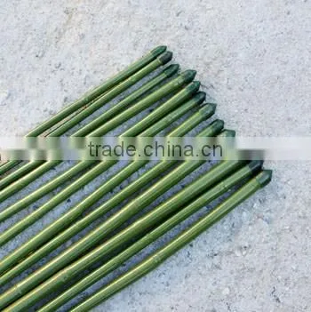 Cheap factory direct supply Agriculture garden PVC Coated pole and Color Bamboo Cane