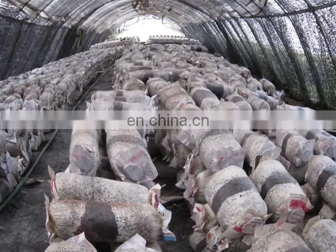 Mushroom cultivate bag filling machine price