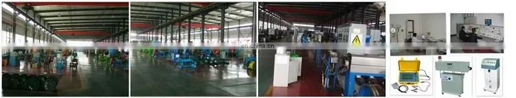 Electro/Hot Dipped galvanized welded iron wire mesh Factory