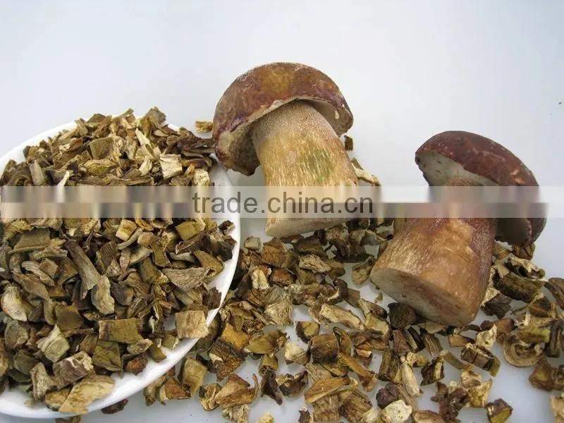 Fibrin Dried White FUNGUS MUSHROOM 2016