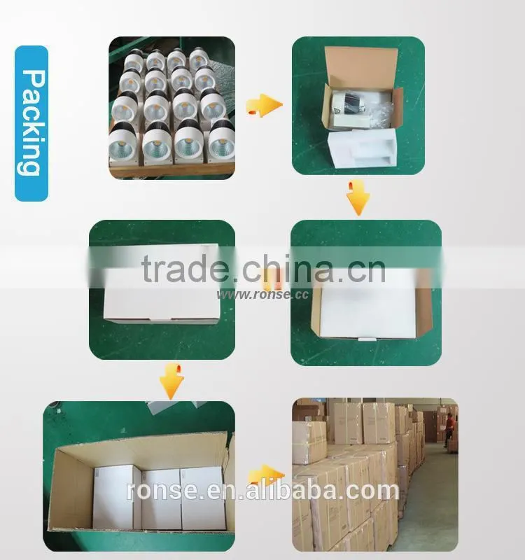 Ronse 30W COB Led Track Light