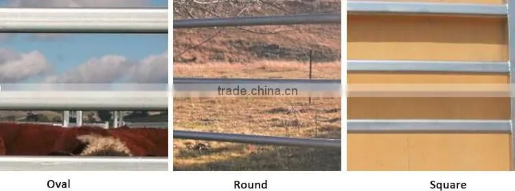 qunkun cheap cattle panels for sale