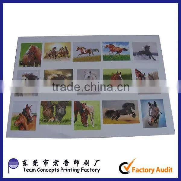 Adhesive Paper Label Manufacturer