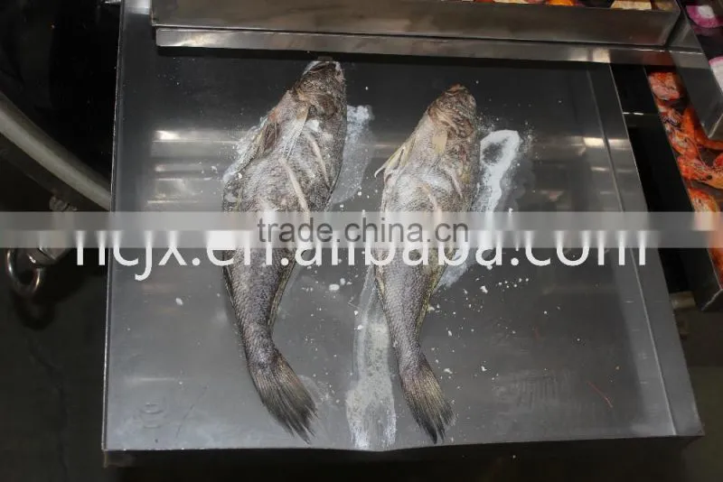 vacuum freeze dryer for food