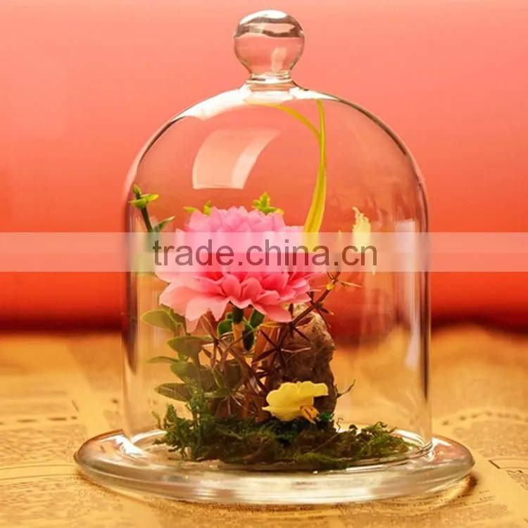 High clean glass decor dome cover for home/office