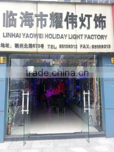 Top Quality Multiple Color LED Christmas Light