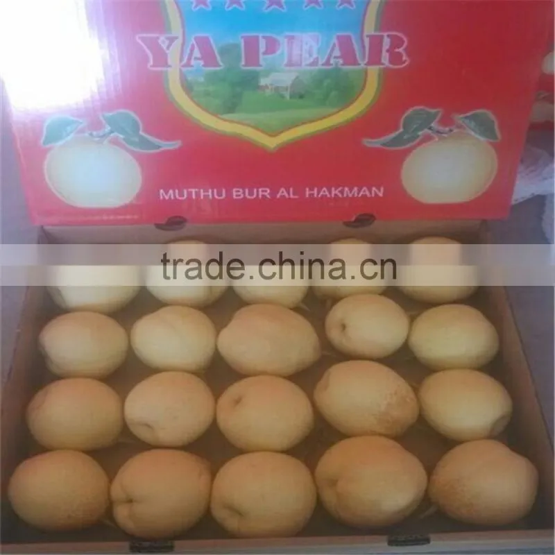 Healthy Ya Pear from china