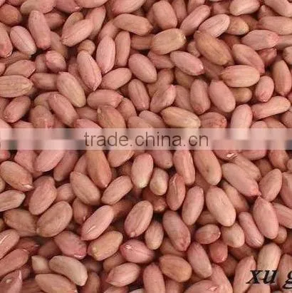 peanut kernels 24/28 & blanched peanut kernels 25/29