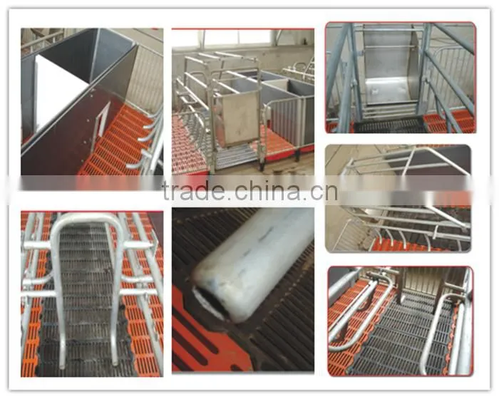 Goldenest High quality cheap price automatic farrowing crate for pigs sow sty farming equipment for sale