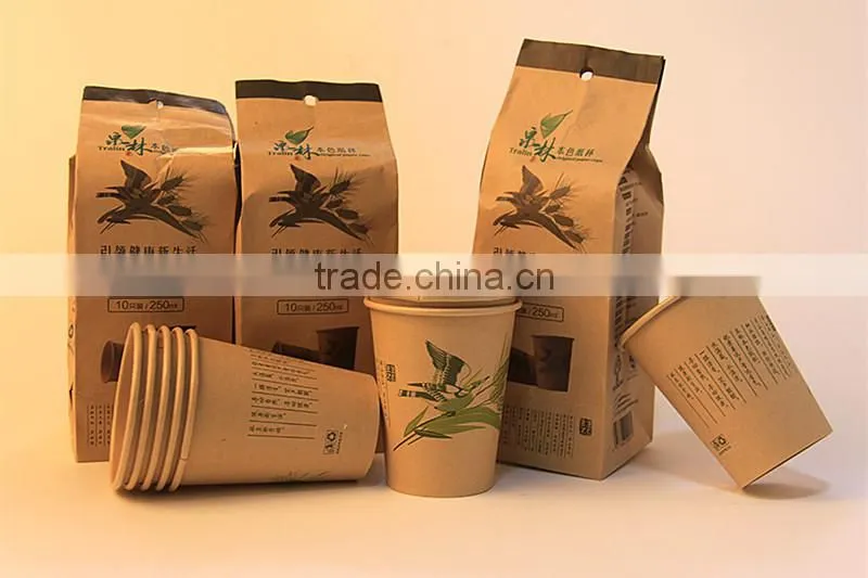 Printed disposable paper cup