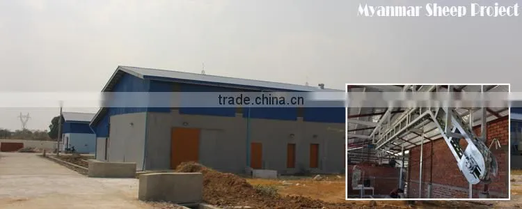 High Quaility Sheep Slaughterhouse Equipment Sheep/goat Dehair Machine Butchery Equipment Of Goat Abattoir Line
