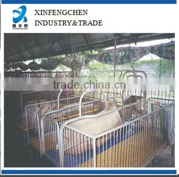 Pig stall for pig farm