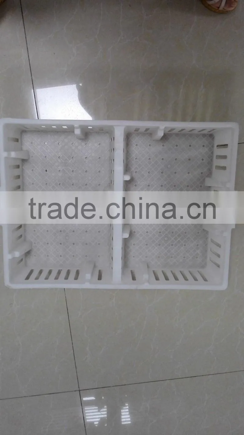 plastic chicken tranport stackable cage/box/crate for child chicken