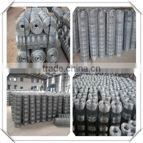 high zinc coated galvanized field fence for sale / galvanized sheep fence for sale