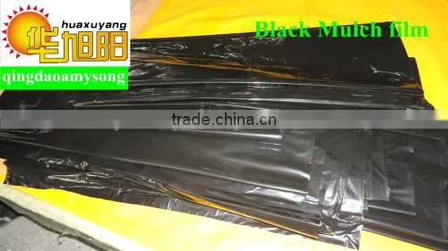 Agriculture perforated plastic pe agriculture film