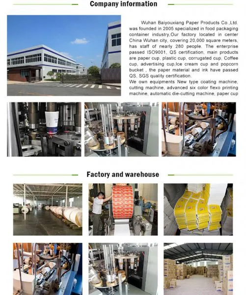 Wuhan Baiyouxiang Paper And Plastic Packge Co., Ltd company overview - view 1
