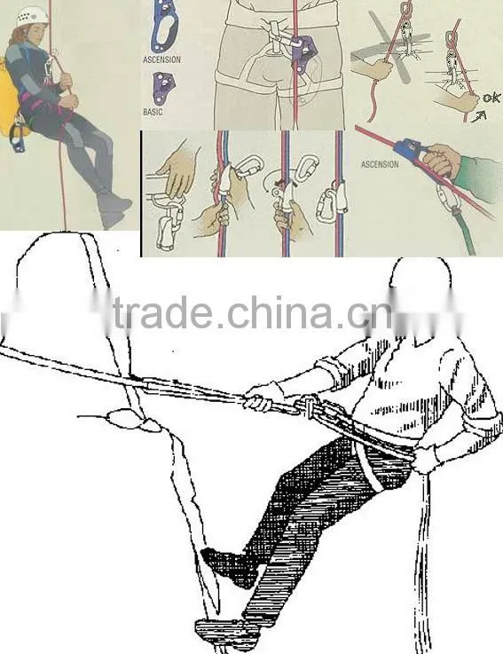50KG load bearing different shape professional outdoor activity safety carabiner