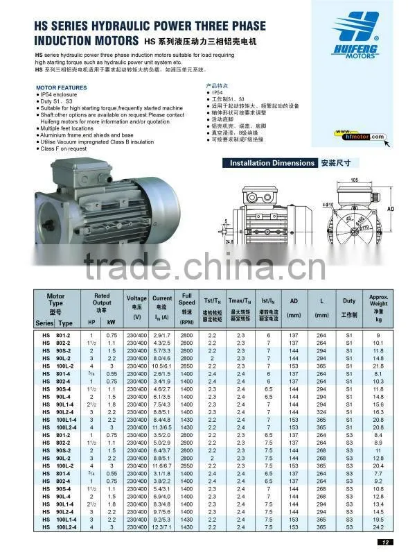 HS 0.75kW Three Phase Square Flange hydraulic motor