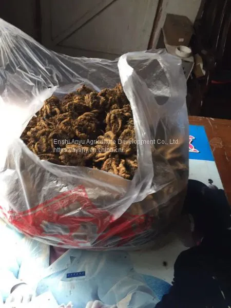 QQ图片20190827183255