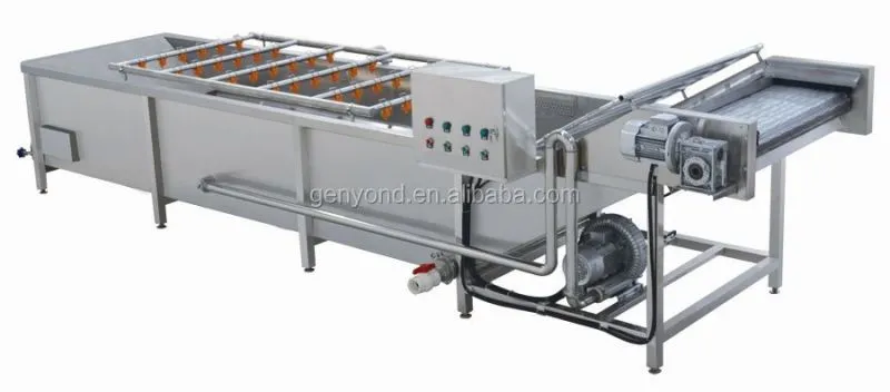 Fruit and Vegetable Processing Machine Blanching Tunnel