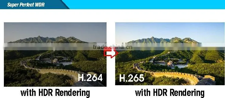 H.265 Security Small Outdoor 2.0Megapixel Sony 290 Cmos Network 2.8-12mm Varifocal WDR Super Low lux poe CCTV IP Bullet Camera