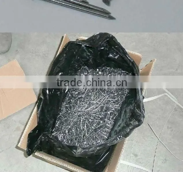 polished carbon steel common nails with smooth shank