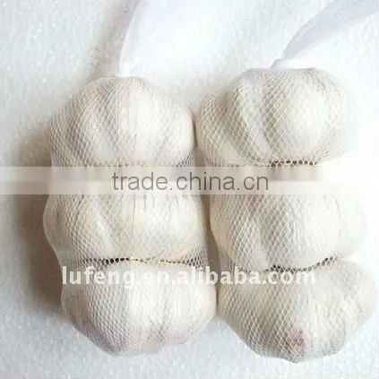 Pure White Garlic