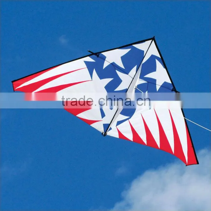 3m delta kite