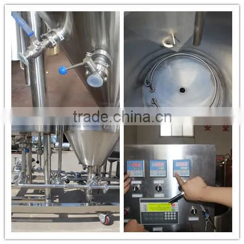 Ruijia Beer manufacturing Fermenter Micro Brewery,brewhouse equipment