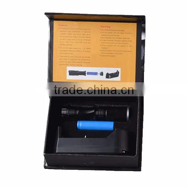 Manufacturer Supply Cheap Bulk AA Powerful Pocket Mini LED Flashlight with Branding