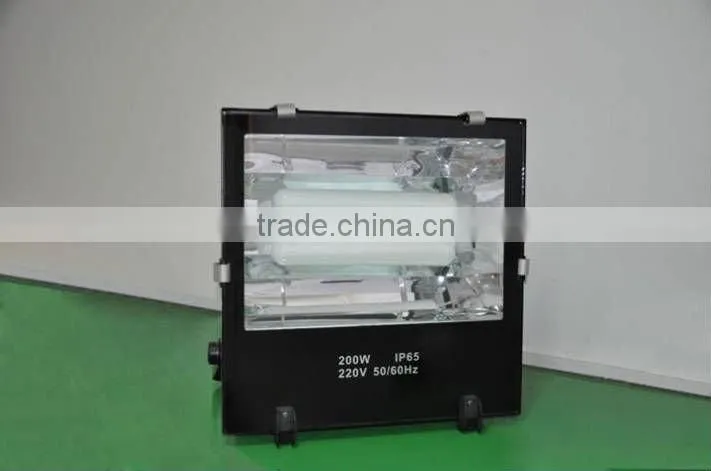 electrodeless induction lamp for flood light